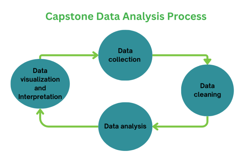 Capstone statistician for hire